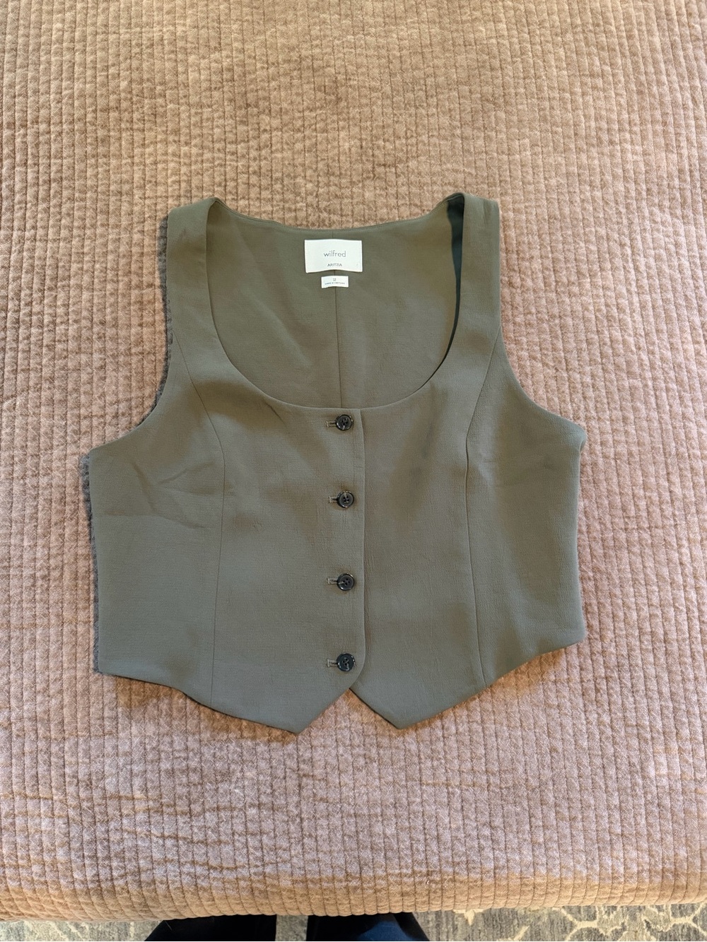 Aritzia Vest